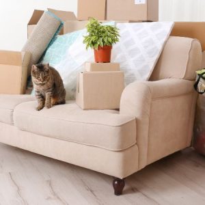 Hand-Painted Wooden Wall Plaque